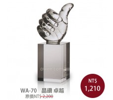 WA-70 水晶獎座(卓越)